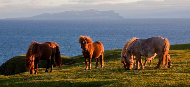 Islas Shetland